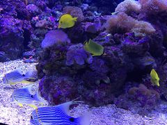 -成都浩海立方海洋公园