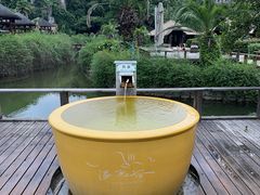 -咸宁温泉谷大酒店