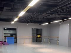 -舞蕾舞蹈(特长生校区)
