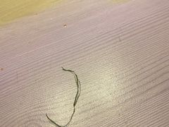 -鱼酷活鱼烤鱼(恒隆广场店)