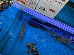 -盒马鲜生(观音桥店)