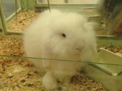 -龙猫仔乐园(惠福东路店)