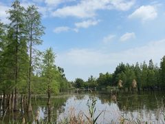 -白鹭湾湿地公园