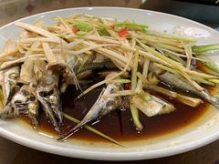 -渔家小院观海海肠捞饭地方菜(环海中路店)