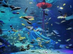 -沈阳海洋探索中心