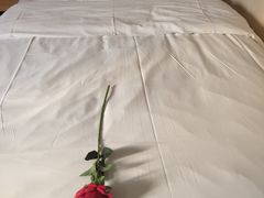 -7天优品·哈尔滨中央大街地铁站店