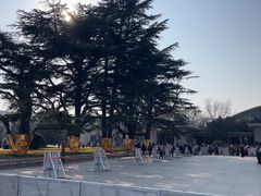 -秦始皇帝陵博物院-丽山园