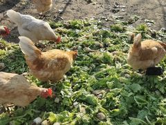 -兴芮温泉度假区