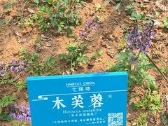 -世间香境·七溪地