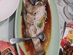 -海派美食·家宴海鲜青岛菜·石锅鲽鱼头(东方城店)
