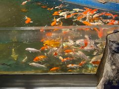 -石家庄海洋公园