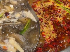 -沸炉重庆老火锅(军事博物馆店)