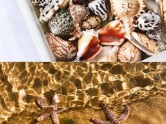 -巧克力渔家.小船海鲜胶东菜(万平口店)