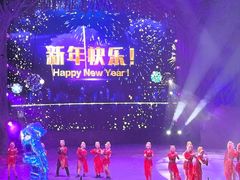 -广州长隆国际大马戏