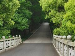 -同里国家湿地公园
