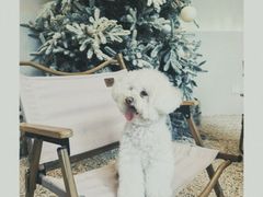 -J Create城市露营咖啡·简餐·宠物(上海动物园店)