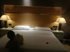 -西安赛瑞喜来登大酒店