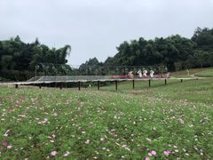 -保利石象湖景区