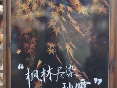 -秋霞圃