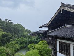 -大唐贡茶院