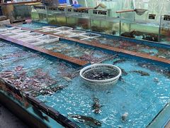 -景好海鲜餐厅(大鹏必选旅游店)