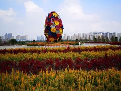 -南通鲜花小镇