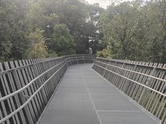 -福道