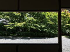 -西芳寺(苔寺)
