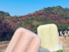 -北京西山国家森林公园