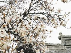 -龙华寺