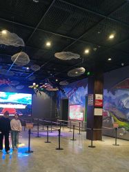 -飞览天下沉浸式飞行体验(北京旗舰店)
