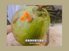 -广东惠东海龟国家级自然保护区