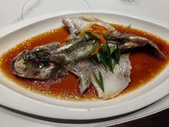 -飞鹿餐饮·陕南菜(北关店)