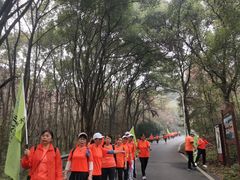 -青龙山国家森林公园