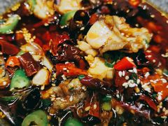 跳跳蛙-付小姐在成都(川沙店)