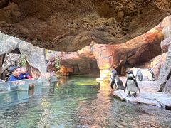 -长鹿旅游休博园