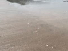-嵊泗基湖沙滩