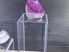 -中国地质博物馆