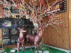 -新白鹿餐厅(城西银泰城店)