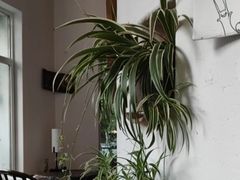 -花迹(富春江东街店)