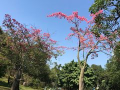 -晓港公园