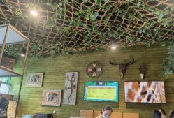 -奇幻丛林(佛罗伦萨小镇店)