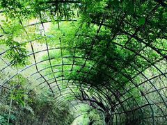 -东海大峡谷
