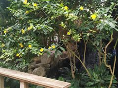 -南山植物园