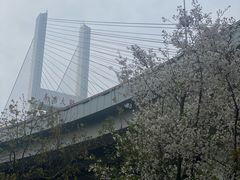 -上海黄浦旅游集散站售票处