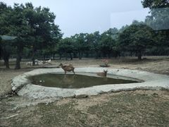 -西安秦岭野生动物园