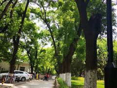 -山东大学(趵突泉校区)