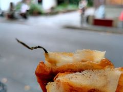 葱包桧儿-孙奶奶葱包桧