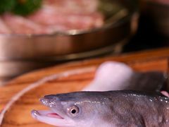 滋补炭烤鳗鱼-本炙炭烤·蒲烧活鳗料理店(金沙洲店)