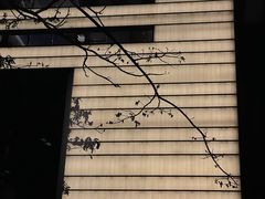 -三亚太阳湾柏悦酒店